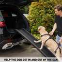 COODEO Mobility Dog Lift Harness, Support Sling & Walking Sling for Dogs, Pet Rear Leg Rehabilitation Support Vest, Dog Carrier for Senior Dogs with Joint Injuries, Arthritis, Up Stair (Black, M)