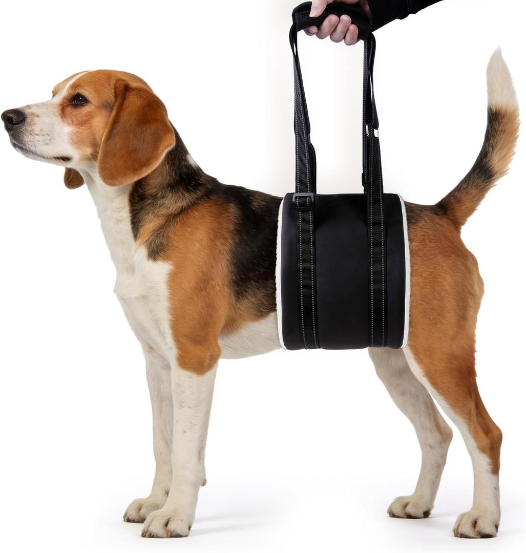 Dog Lift Harness, Adjustable Comfortable Dog Sling with Handle for Hind Leg Support Soft Lift Support and Rehab Harness for Weak Rear Legs, Helps Senior, Injured, Disabled and After ACL Surgery Dogs M