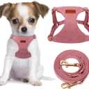 CHEDE No Pull Puppy Harness and Multifunction Dog Leash Set- 8 Colors Soft Adjustable No Choke Escape Proof Cute,Lightweight Pet Vest Harness for Small and Medium Dog (XXS, Antique Pink)