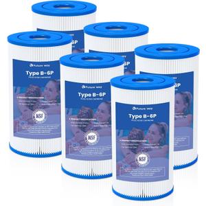 Future Way 6 Pack Type B Pool Filter Cartridge Replacement for Intex 29005E & 2500 GPH Pump, Fits Easy Set Above Ground Pools