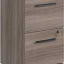 OfficeWorks by Sauder Affirm 2-Drawer Moblie File, L: 15.55'' x W: 19.45'' x H: 28.43'', Hudson Elm