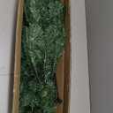 TURNMEON 6 Ft Artificial Pencil Christmas Tree with 658 Dense Branch Tips, Skinny Christmas Tree Include Metal Stand, Hinged Design Slim Xmas Pencil Tree Decor for Holiday Home Indoor Outdoor