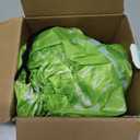 COMIN Inflatable Dinosaur Costume Kids Halloween Blow up Costumes Boys Girls Funny Riding T Rex Air Green Costume Party
