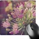 3dRose LLC 8 x 8 x 0.25 Inches Pretty Little Flower by Angle and Spot Mouse Pad (mp_11244_1)
