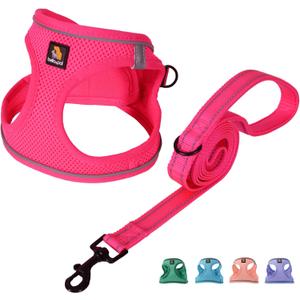 BELLA & PAL Step in Vest Harness for Small and Medium Dogs, No Pull Small Dog Harness with Leash Set, Comfortable Air Mesh Dog Vest Harness with Reflective Strip (Hot Pink, XXS)