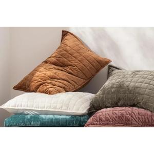 RECYCO Luxury Velvet Quilt, Lightweight Velvet Comforter Set, Oversized Bedspread Coverlet Quilted Bedding Set,  2 Matching Pillow Shams, for All Season, Cream White 20"x36"