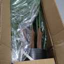 Jexine 2 Pack Artificial Palm Trees 4Ft, Fake Plants Fake Trees Artificial Areca Palm Plants for Outdoor Indoor Faux Palm Tree in Pot for Pool Home Decor Office Housewarming Gift Modern Decoration