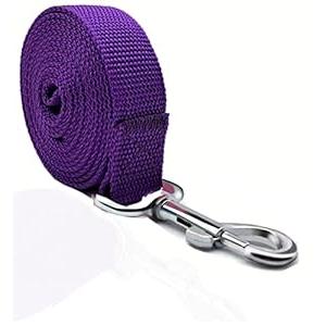 TAIAN 4FT/ 5FT/ 6FT Strong Dog Leash, Nylon Dog Leashes for Small Medium Large Dogs (Purple, 1 in x 10 ft)