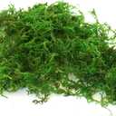SuperMoss (23806) Mountain Moss – Natural Green Sphagnum Moss for Soil Top Dressing, Potting Mix, Garden Decor, and Craft Projects, 2,588 cu in, Preserved