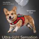 FAYOGOO Service Dog Vest for Small Dogs - Breathable Air Mesh Service Dog Harness with Leash & 6 Patches, Adjustable No-Choke Design for Walking, Travel & Public Access