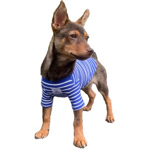 YQYS Pet T-Shirts Thick Striped Cotton Tee Shirt for Small Dogs and Cats Puppy Clothes Apparel Clothing for Teacup Chihuahua Yorkie Poodle Blue White Small