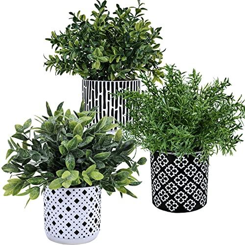 Winlyn 3-Pack Artificial Potted Plants - Faux Eucalyptus, Rosemary, Boxwood Greenery in Small Black & White Geometric Concrete Pots -Desk, Table, Shelf, Windowsill Decor for Indoor Outdoor Home Office