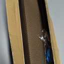 SpaceAid Spice Rack Organizer with 28 Spice Jars, 386 Spice Labels, Chalk Marker and Funnel Set for Cabinet, Countertop, Pantry, Cupboard or Door & Wall Mount - 28 Jars, 13.4" W  10.8" H, Black