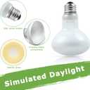 2 x Reptile Heat Lamp Bulbs 75W E26 - UVA Basking Spot Light for Reptiles - Simulated Sunlight for Bearded Dragon, Lizard, Tortoise, chickss and More | 2 Pack