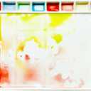 Bower Bird Porcelain Watercolor Palette 18wells/20wells Rectangle Artist Professional Ceramic Palettes for Painting (Porcelain) (12.6x9.4in)