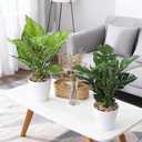 2PCS 12.2" Tall Artificial Monstera Plants for Office, Fake Plants Artificial Potted Plant Bathroom Decor Indoor Faux Tropical Plant Realistic Artificials for Home Office Table Bathroom Shelf Desktop