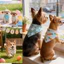 Dimidium Easter Dog Bandanas 2-Pack - Cute Design, White Green Stripe Carrot Print & Green Base Bunny Carrot Motif, Snap Button Adjustable Pet Scarf for Medium & Large Breeds (30-75lbs)