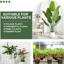 Monstera Plant Support, Durable Iron Plant Stem Supports, Plant Stabilizer & Holders for Indoor Plants, 8 Pack
