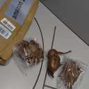 Rusty Metal Hummingbird Garden Stake, Large Size Realistic Lifelike Outdoor Yard Art Decor Sculpture