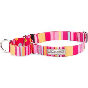 Lucky Love Dog, Colorful Stripes Martingale Dog Collar, Yellow, Pink, Blue Color No Slip Dog Collar - (Small, Molly Martingale) (Small Collars (10-15"))