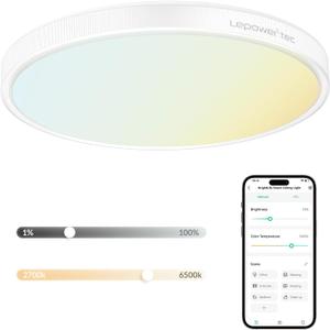 Flush Mount Ceiling Light, 3200LM Smart Led Ceiling Lights Fixture, Compatible Alexa, 2700K-6500K Stepless Dimmable Bright Lighting for Bedroom Kitchen Living Room White, 13 Inch, 1 Pack
