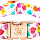 Elegant Little Tail Valentine's Day Collar - Pink Heart Cute Dog Collar, Adjustable for X-Small Dogs