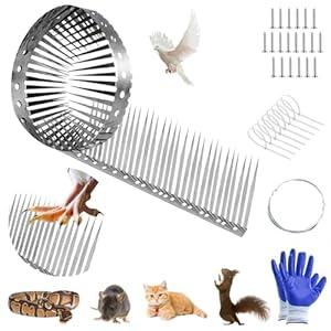 Bird Spikes, Pigeon Squirrel Raccoon Cat Bird Deterrent Anti-Climb Spikes for Outside, Anti Animal Defender Spikes Outdoor to Keep Birds Away for Window Roof Fence Railing (Stainless Steel)
