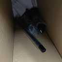 FDW Manikin 60-67Height Adjustable Female Dress Model Display Torso Body Tripod Stand Clothing Forms (Black, 60-67 Inches)