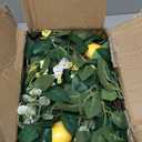 U'Artlines 4Pcs Total 24 Ft Artificial Lemon Garland Spring Summer Faux Fruit Vine Garlands with Greenery for Door Wall Mantle Wedding Party Table Decorations