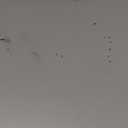 Wesiti Large Acrylic Cutting Board with Lip Non Slip 36 x 24 Inch Clear Cutting Board Chopping Acrylic Countertop Protector Cover Shatter Resistant for Home Restaurant Kitchen Sink Stove (36"L x 24"W)