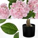 3FT Pink and White Hydrangea Artificial Flowers Tree Large Real Touch Faux Silk Hydrangea Plants Potted Fake Flower in Black Pot for Home Indoor Outdoor Front Porch Garden Entrance Living Room Decor, 2 Pack