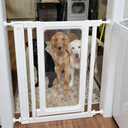 Auto Close Baby Gate for Stairs and Doorways, Pressure Mounted Pet Gate for Dogs, Extra Wide & Tall Child Safety Gate with Walk Through Door for House, No Drill Adjustable Indoor Barrier