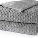 Weighted Blanket for Adults Queen Size 15 lbs, Soft Cooling Minky Dot Heavy Breathable Blanket for All-Season, Washable Weighted Throw with Glass Beads, 60 x 80 Inches, Grey