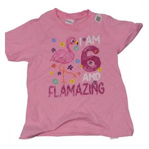 I Am 6 And Flamazing T-Shirt Amazing 6th Birthday Flamingo T-Shirt XS