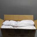 puredown Feather Down Throw Pillow Inserts 22 x 22 (Pack of 2, White), Big Throw Pillows for Floor, Couch, Bed, Machine Washable