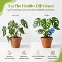 Little Green Leaf Automatic Plant Watering Globes Self Watering Planter Inserts (Set of 6) | Hands Free Multicolor Glass Bulbs | Planter Spikes to Support Indoor & Outdoor Plant Health (350ml)