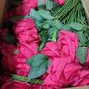 Ovveroche 150 Pcs Roses Artificial Flowers, Silk Red Artificial Flowers Petals Long Stem Roses for Wedding Bouquet Home Party Decor (Light Hot Pink)