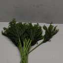 YXZZWL 16 Pcs Christmas Norfolk Pine Branches, 18 Inch Real Touch Artificial Norfolk Pine Branch Faux Cedar Pine Stem Fake Greenery Picks for Vase DIY Garland Wreath Home Decoration