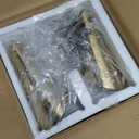 Ahaloye Gold 2-Light Plug in Wall Sconce, Modern Vanity Light Wall Lamp with Rotatable Lampshade Picture Light for Bedroom Living Room Bathroom Foyer