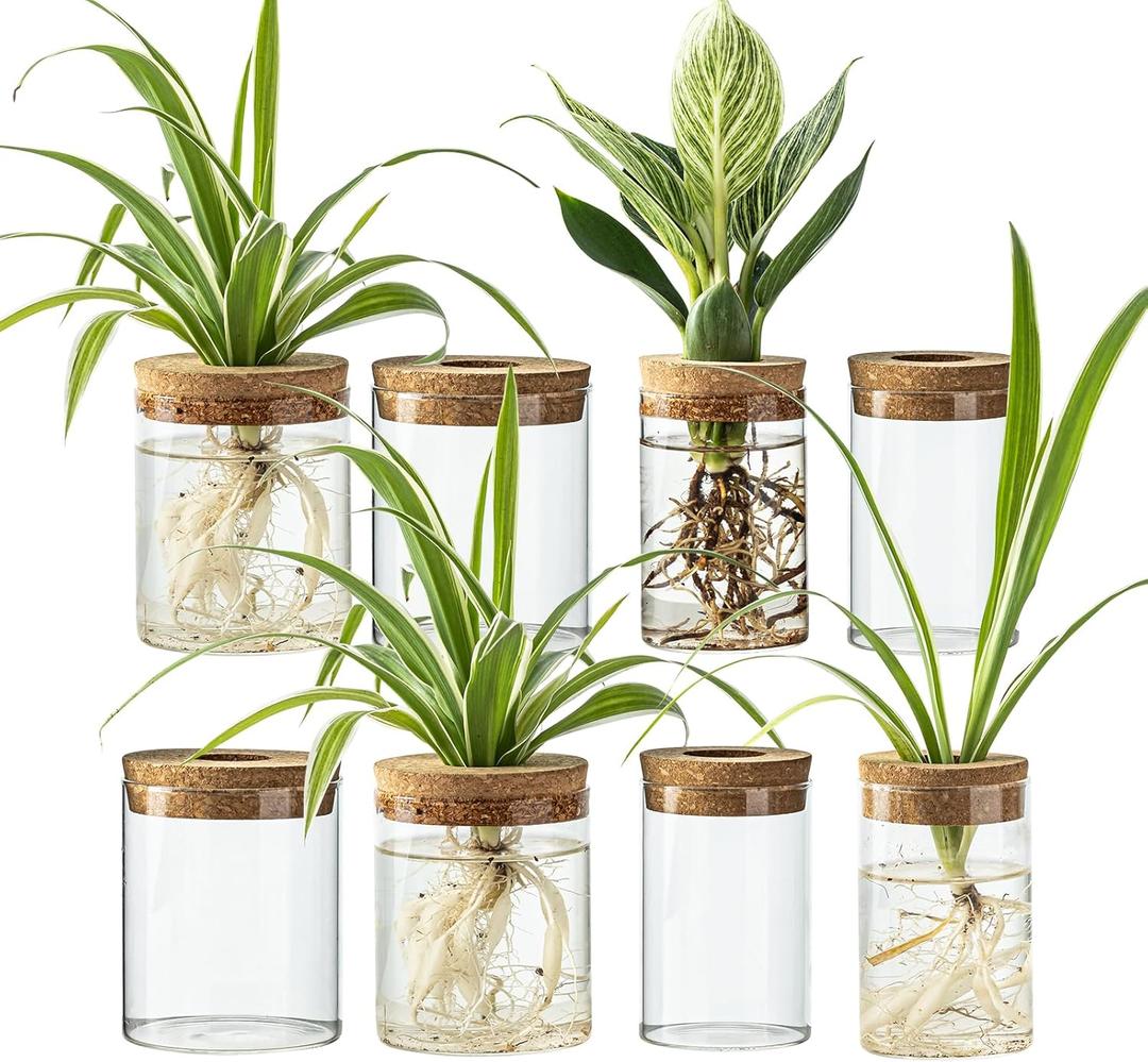 Glass Propagation Stations for Plants -Desktop Flower Vases,Propagation Flower Vases Set  2 Large & 2 Small for Plant Cuttingsfor Living Room, Bedroom Decoration,Home,Office Decor (8)