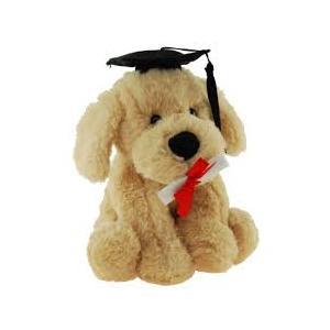 Graduation Dog Puppy Soft Plush Toy