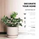 Elly Décor 8 inch Plastic Cylinder Planter Pot with Self-Watering Saucer and Drainage Hole,Lightweight & Extremely Durable, 8"x 8", Ivory