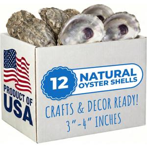Tumbler Home Oyster Shells for Crafts, 12pcs, 4"- 5" Large Oyster Shells for Crafting, Decoupage, Christmas Ornaments, Wreaths, Weddings, Beach Décor, DIY Arts & Crafts. Bulk. Farmed in USA