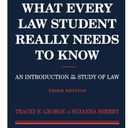 What Every Law Student Really Needs to Know: An Introduction to the Study of Law (Academic Success Series)