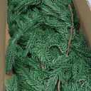 Hananona 2 Pcs 6 Ft Artificial Norfolk Pine Garlands, Real Touch Winter Pine Garland, Green Artificial Greenery Garland for Table, Mantle, Wall, Indoor, Outdoor Christmas Decorations (2, 6 FT)