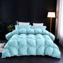 Three Geese Pinch Pleat Waterfowl Feathers and Down Comforter Palatial King Size Duvet Insert,750+ Fill Power,1200TC 100% Cotton, Premium All Seasons Aqua-Sky Warm Hotel Comforter with 8 Tabs.