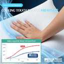 Blue Ridge Home Fashions Cooling Bed Pillows Queen Size Set of 2, Reversible Cooling & Cotton Fabric, Medium Firm, Down Alternative Breathable for Hot, Side, Back & Stomach Sleepers, 20" x 28"