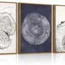 IARTTOP Framed Tree Ring Wall Art Modern Neutral Wood Stump Wall Decor Abstract Tree Spiral Wall Decor For Living Room Bedroom Office12 x16 Inch Set Of 3