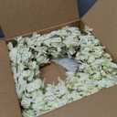 Spring Wreath for Front Door, 24 Inch White Cream Forsythia Spring Wreath Blossom Cluster Flower Farmhouse on Grapevine for Front Door Wall Window Hanging Dcor Festival Celebration