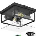 Outdoor Ceiling Light with Motion Sensor, Flush Mount Porch Light, Exterior Light Fixture with Clear Glass, Dusk to Dawn 2-Light Fixture for Patio,Porch (10.5 in)